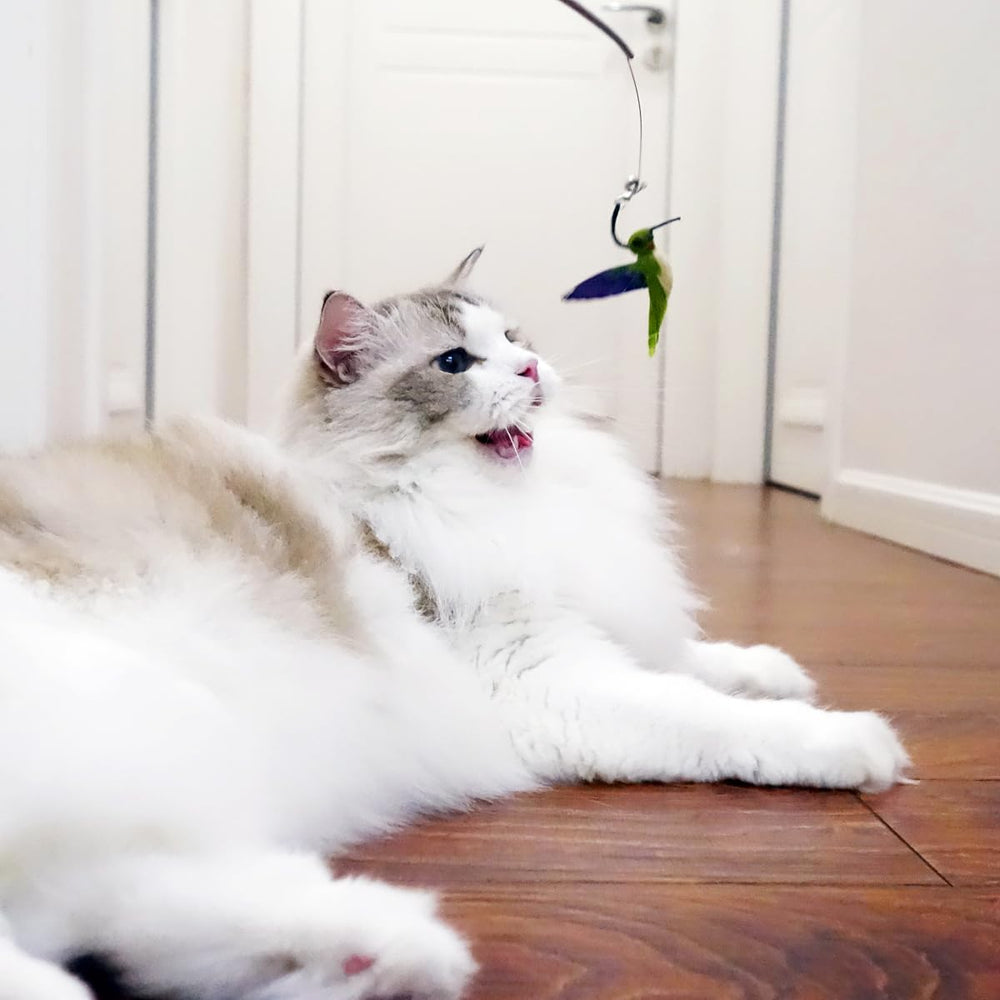 TTcat cat wand attachments insect movement refills invites agile play and exploration.