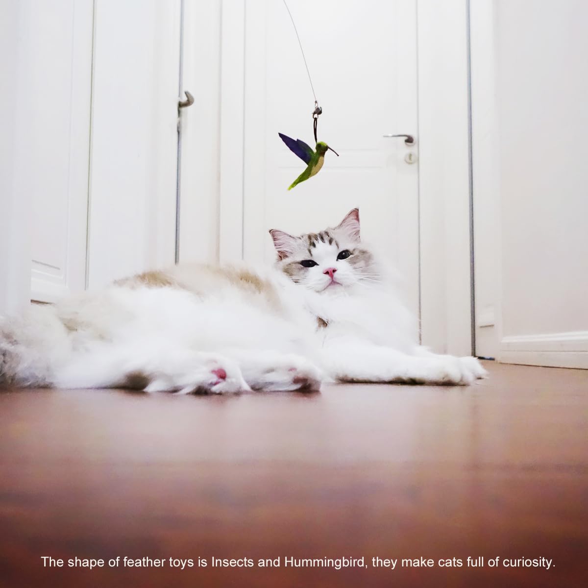 TTcat cat wand attachments three-refills-pack offers variety for longer sessions.