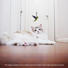 TTcat cat wand attachments three-refills-pack offers variety for longer sessions.