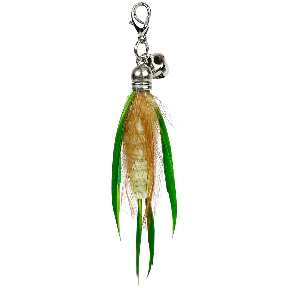 TTcat Feathe cat wand play—interactive setup encourages active movement.