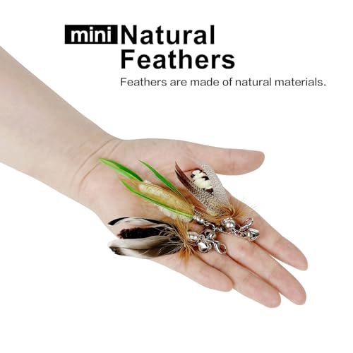 TTcat Feathe mini-insects refill—engaging chase and hunting-stimulation options.