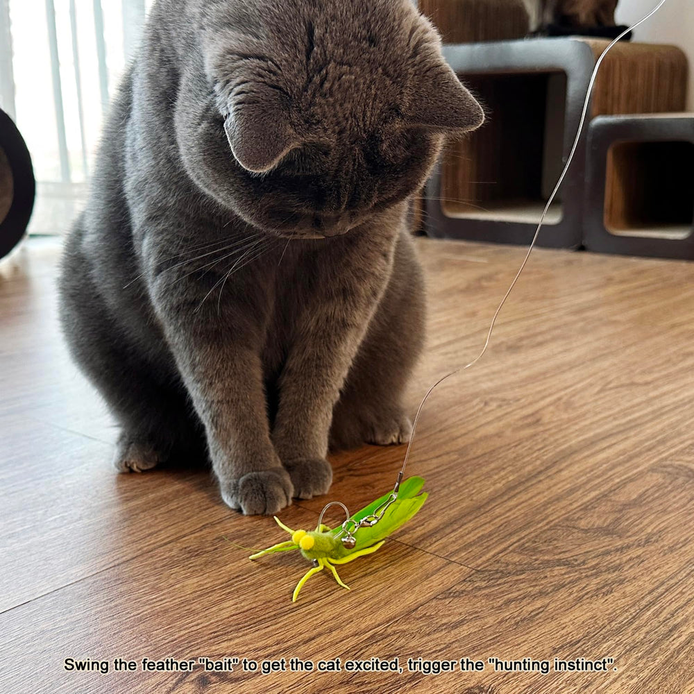 TTcat feather cat toy attachments stimulates playful interaction and indoor exercise during sessions
