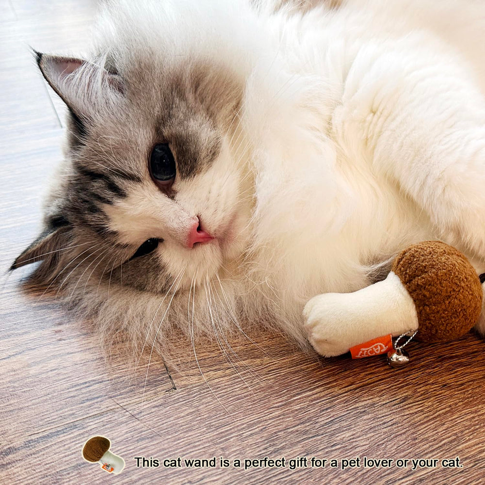 TTcat cat toy suits kittens and cats of all ages for inclusive play