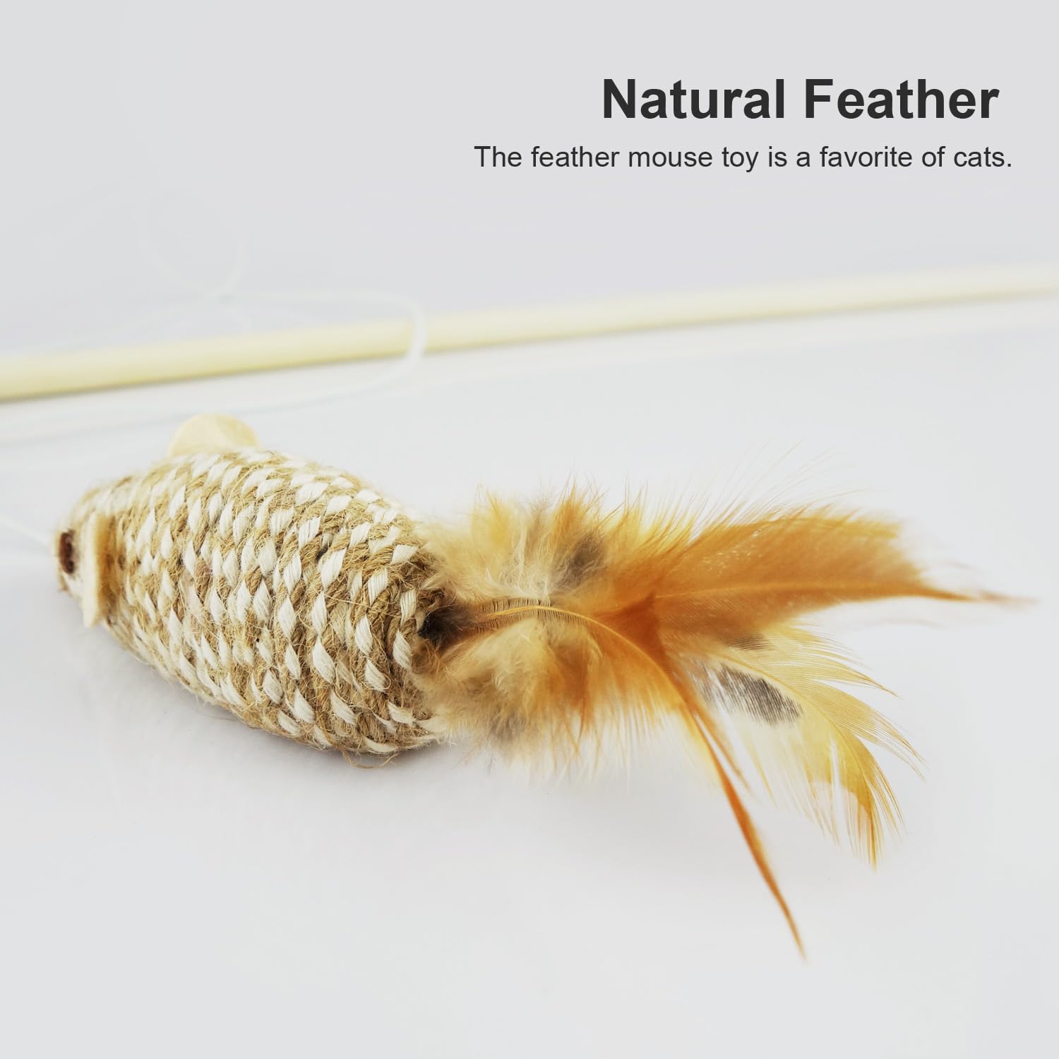 TTcat gift-ready packaging suggests a thoughtful present for cat lovers and curious kittens.