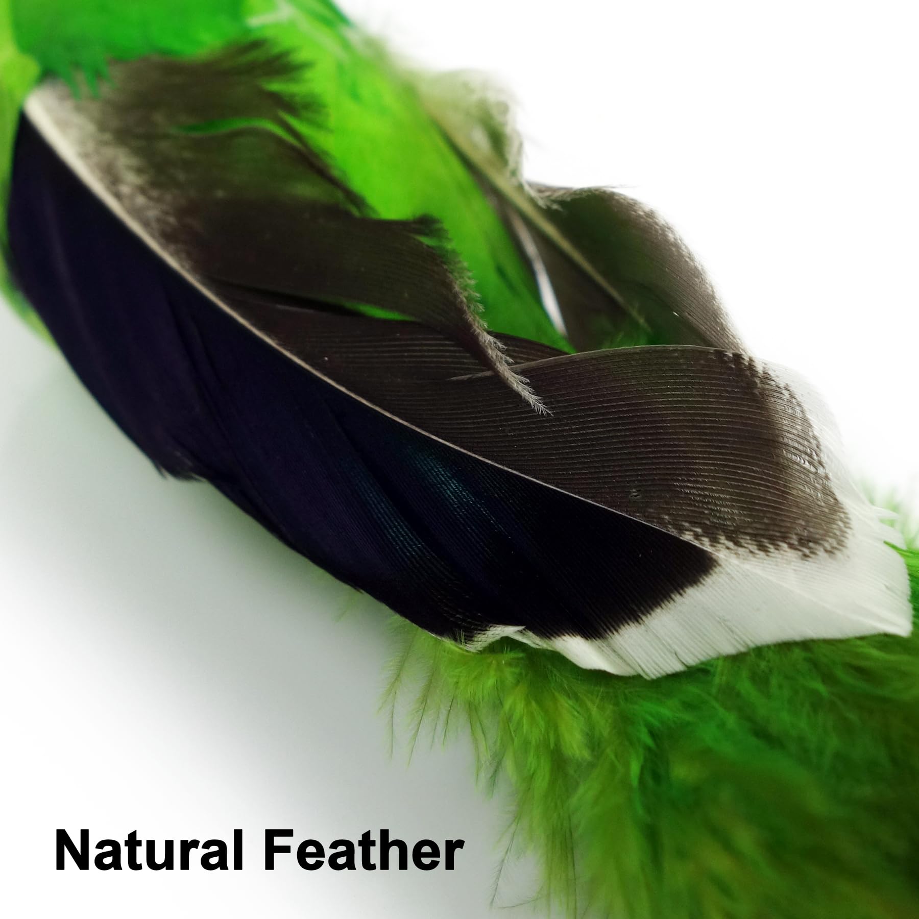 TTcat natural feathers material ensures soft contact during play