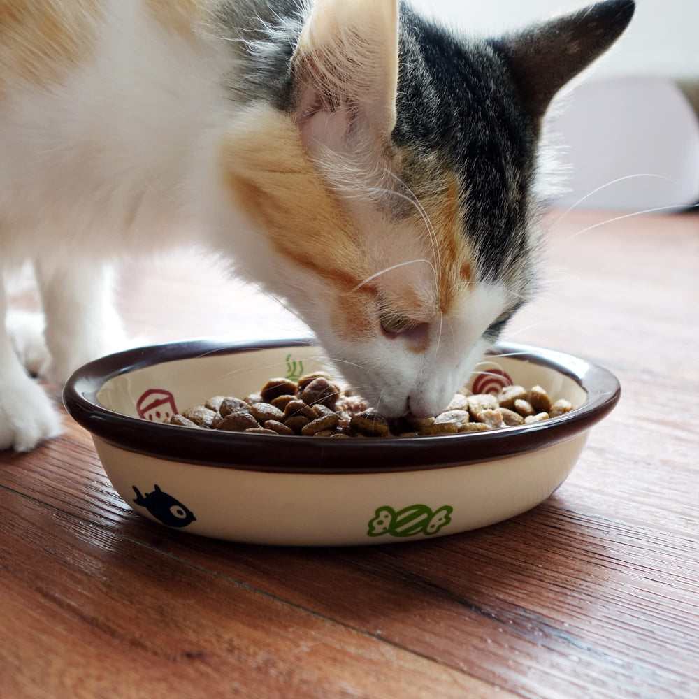 TTcat Oval Ceramic Cat Food Bowl side view shows heavy porcelain for stable, spill-resistant feeding.