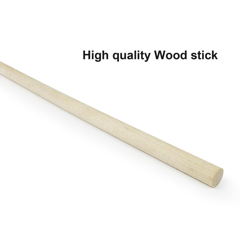 TTcat indoor play scene demonstrates energizing exercise and mental stimulation.