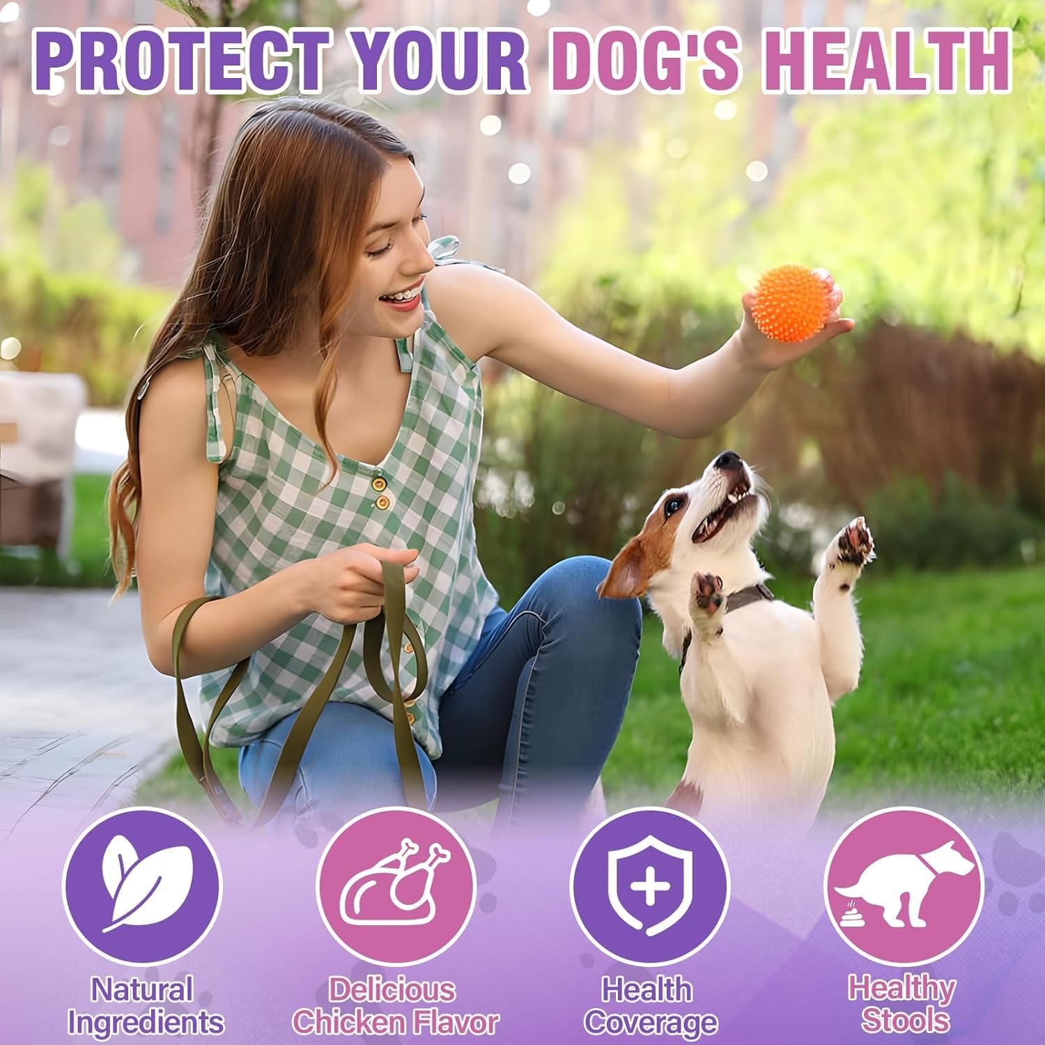 TTIXRL dog anal gland soft chews packaging front highlights natural ingredients and pumpkin fiber