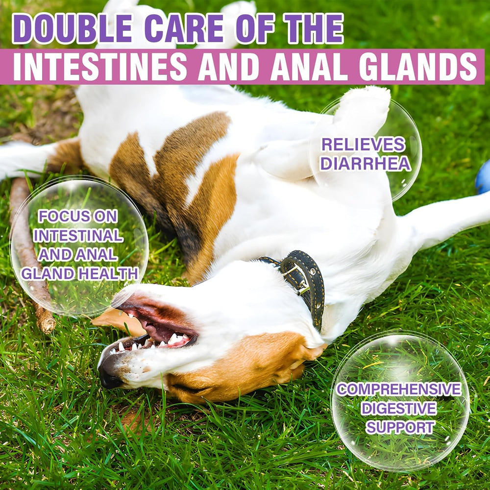 TTIXRL dog anal gland soft chews serving table shows digestive support benefits and dosing