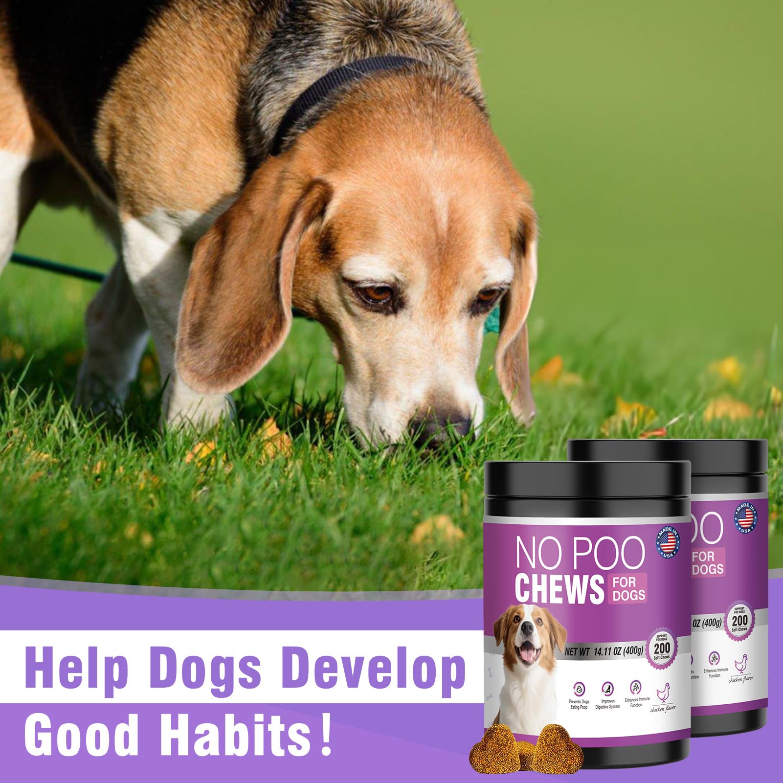 TTIXRL No Poo Chews for multi-dog homes showing versatile use