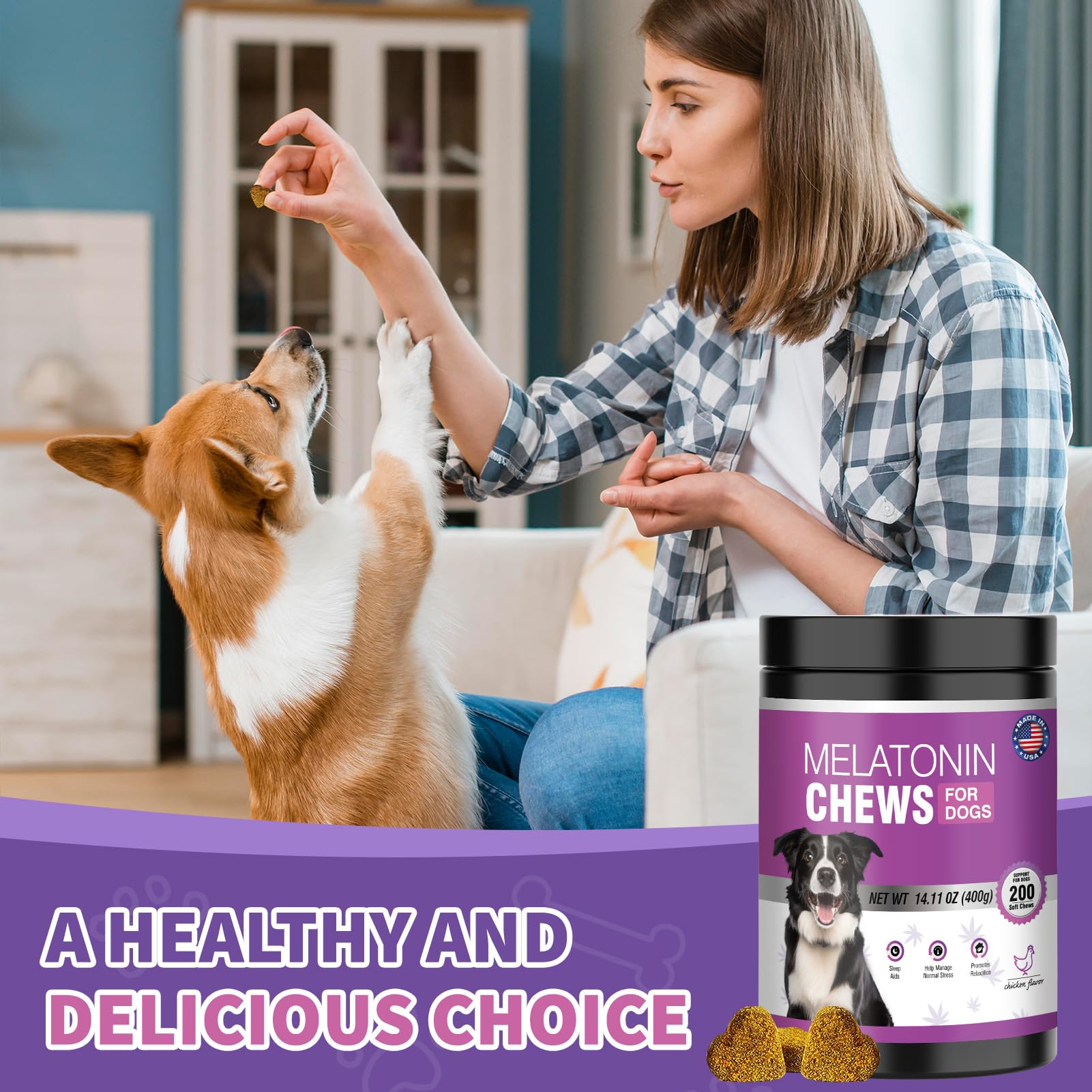 TTIXRL melatonin for dogs in separation-anxiety travel scenarios demonstrating soothing routine.