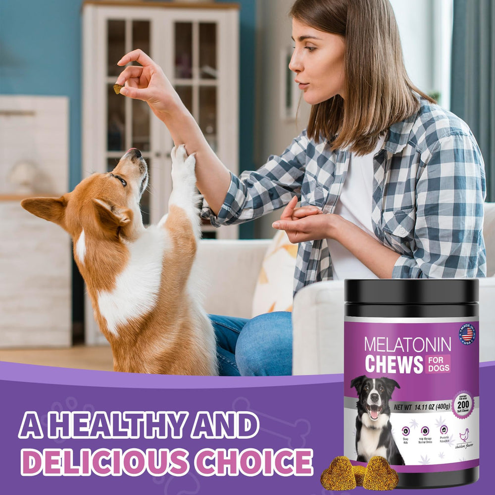 TTIXRL melatonin for dogs in separation-anxiety travel scenarios demonstrating soothing routine.