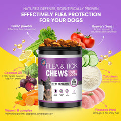TTLXBL dog chewable serving dish shows convenient administration during meals.
