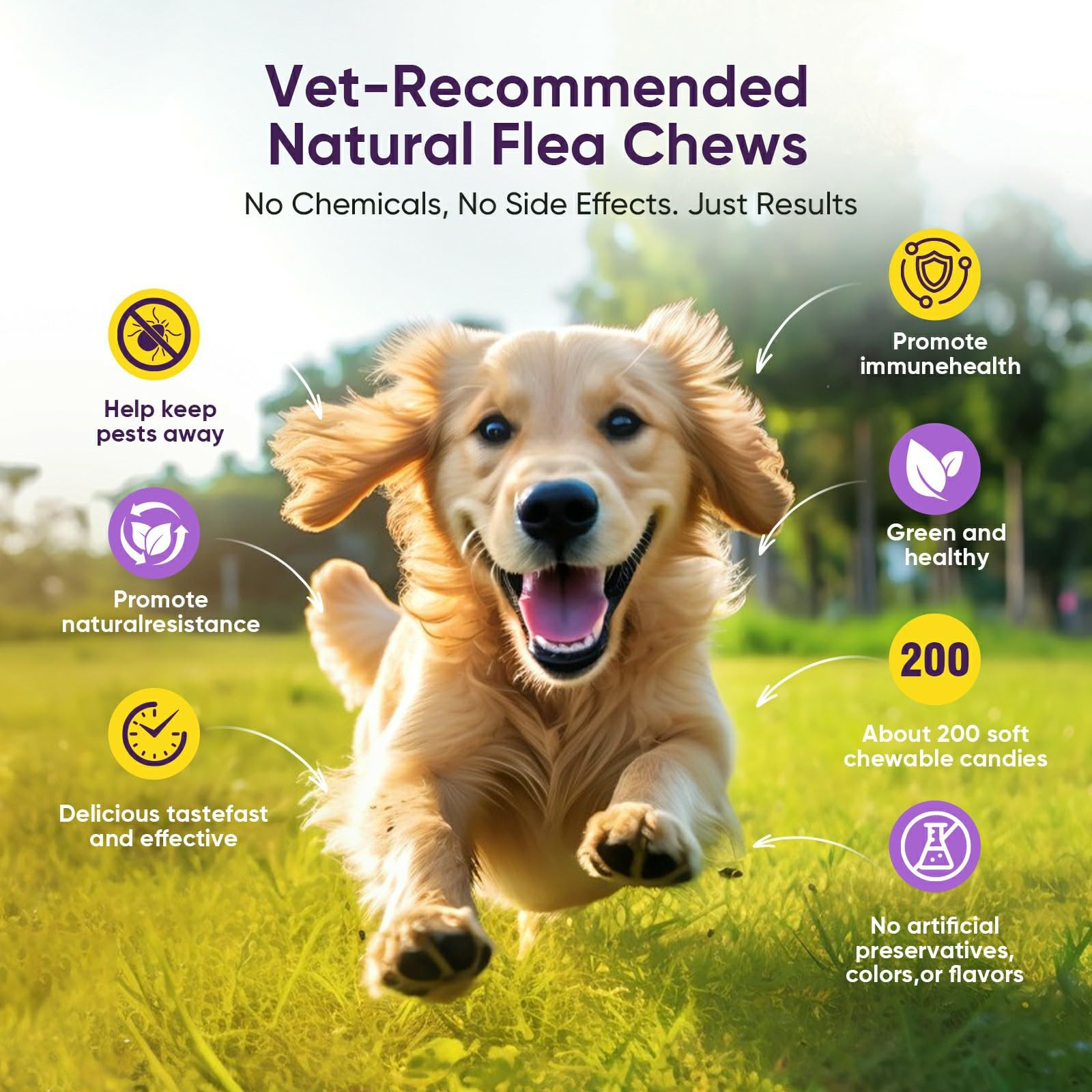 TTLXBL dog chewable tablet format closeup underscores easy-to-ingest texture.