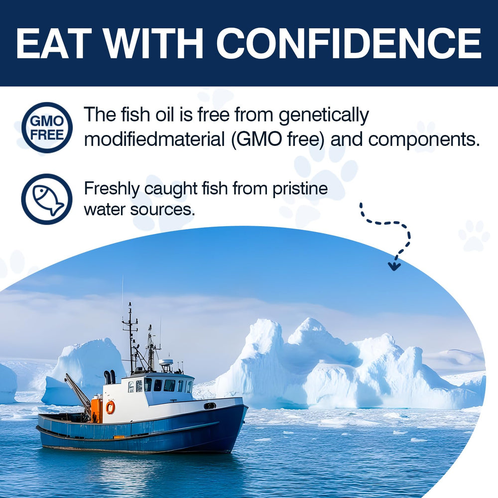 TTLXBL hip and joint health chews illustrating comfortable movement for active dogs.