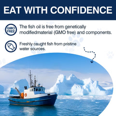 TTLXBL hip and joint health chews illustrating comfortable movement for active dogs.