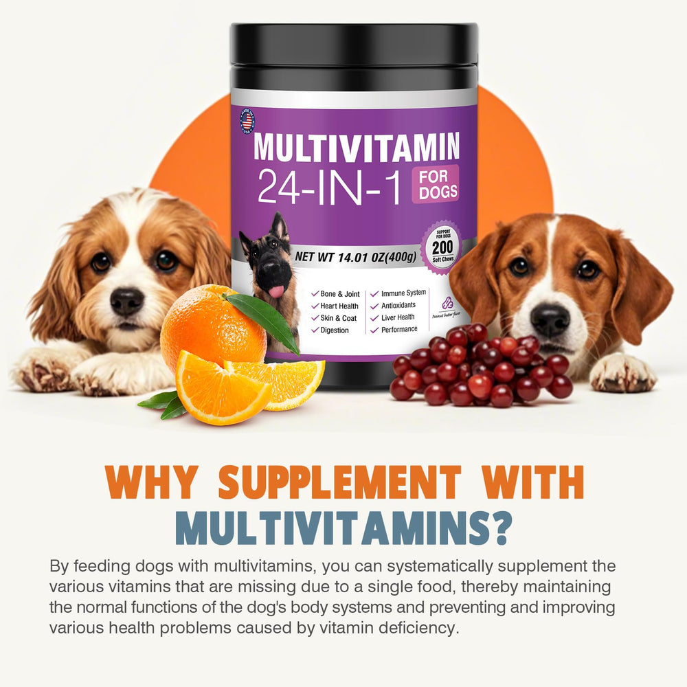TTLXBL probiotics dog digestive health supports balanced gut flora