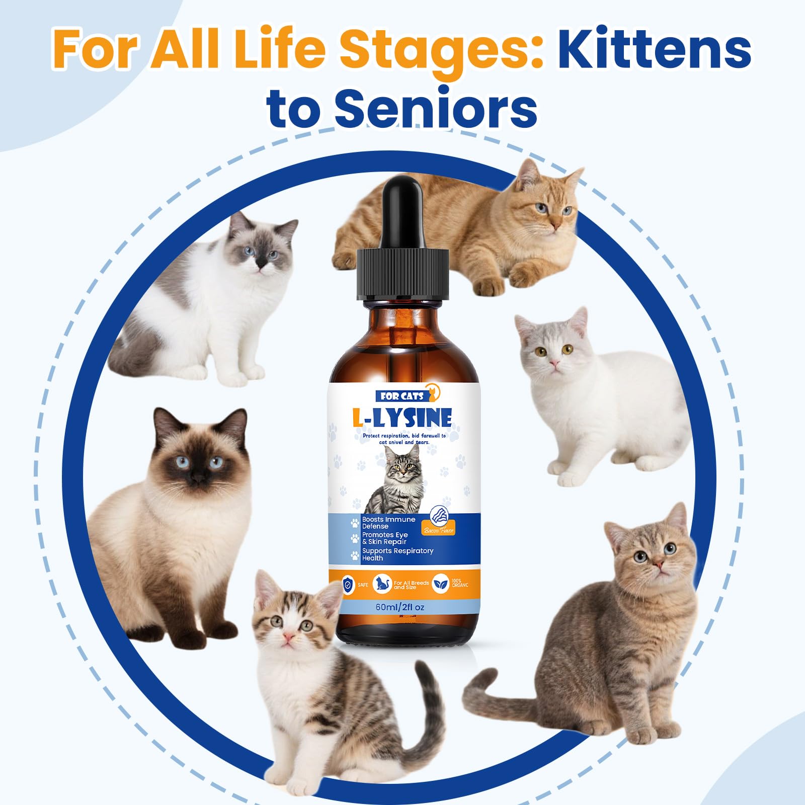 TTLXRI daily use lysine drops shows easy integration into cat care routine