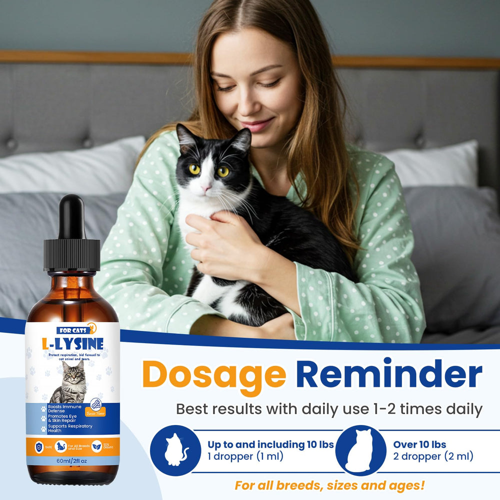 TTLXRI cat lysine drops in food mix demonstrates convenient dosing with meals