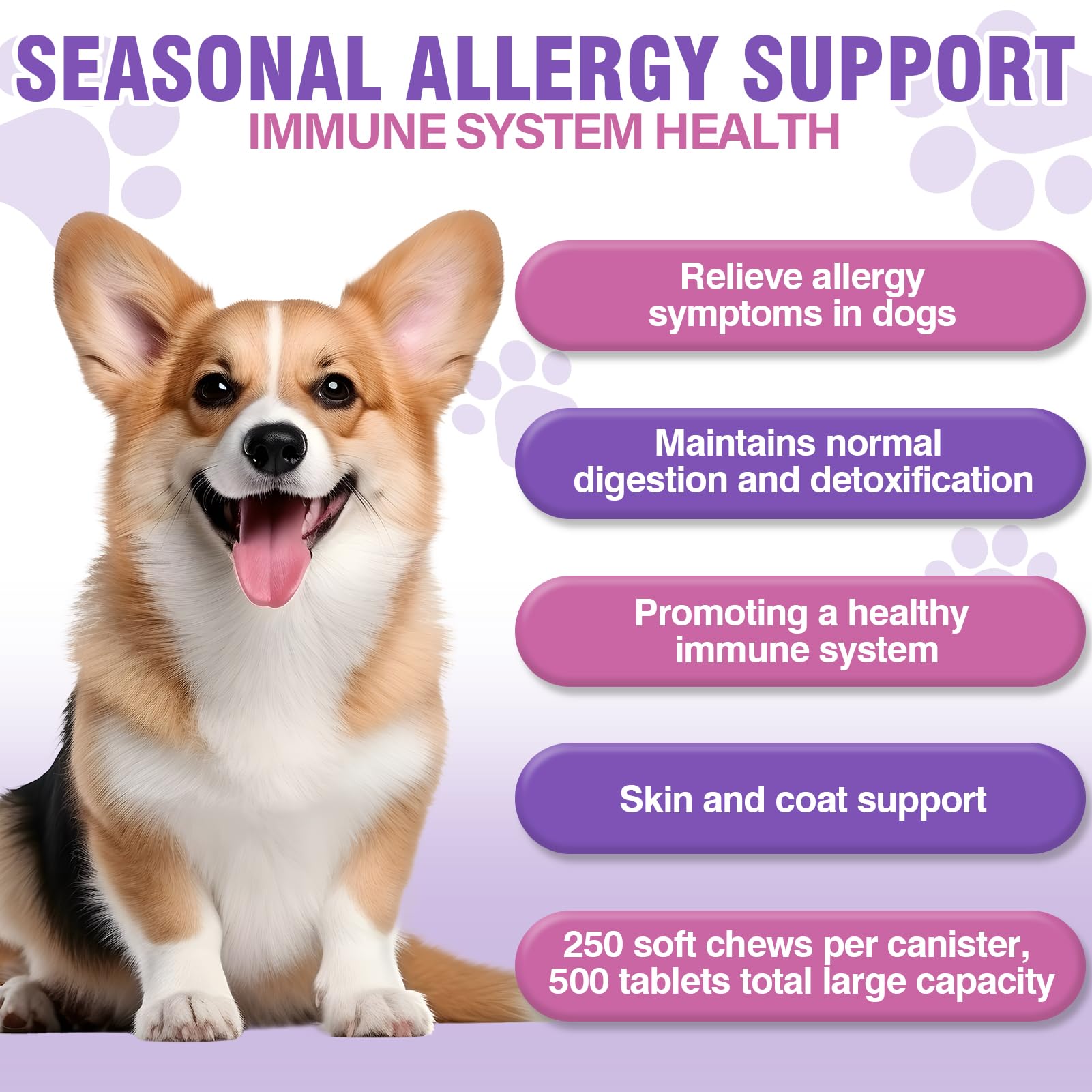 TTLXRI Dog Allergy Chews bottle highlights convenient dosing and immune-supporting ingredients.
