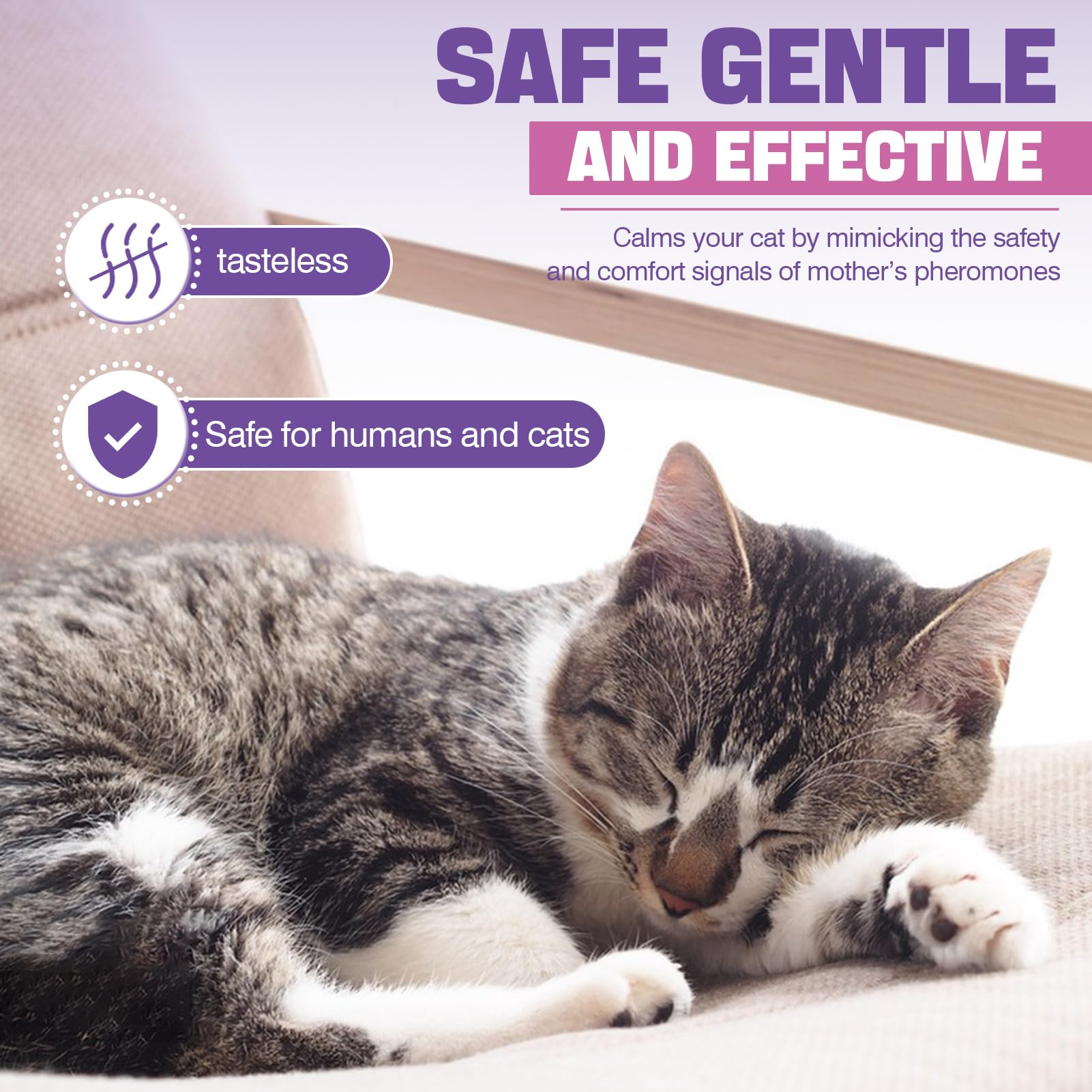 TTLXRL cat calm sleep ambience promotes restful nights for cats.