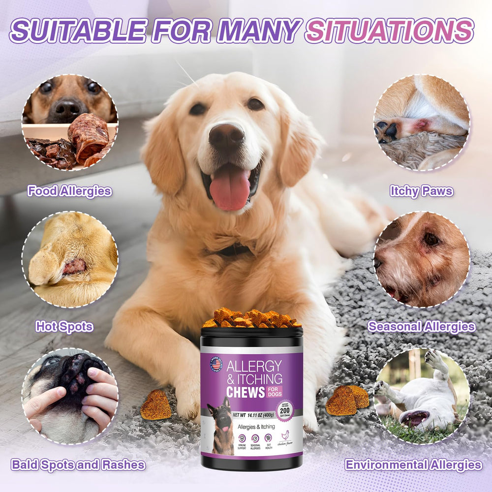 TTLXRL 202ct packaging demonstrates bulk option for households with multiple dogs.
