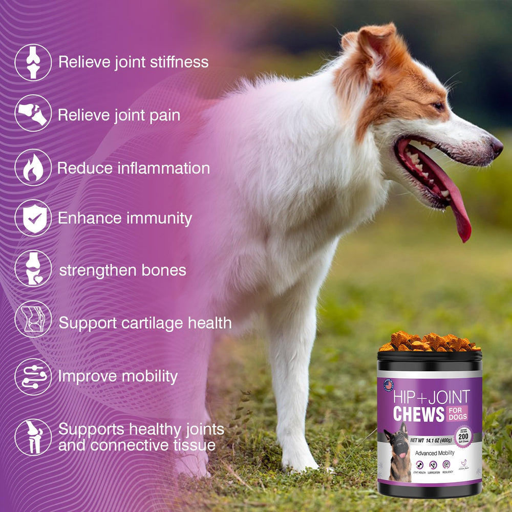 TTLXRL dog joint supplement with MSM and hemp supports connective tissue.