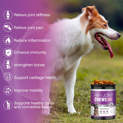 TTLXRL dog joint supplement with MSM and hemp supports connective tissue.