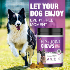 TTLXRL glucosamine dog chews close-up highlights palatability for active play.