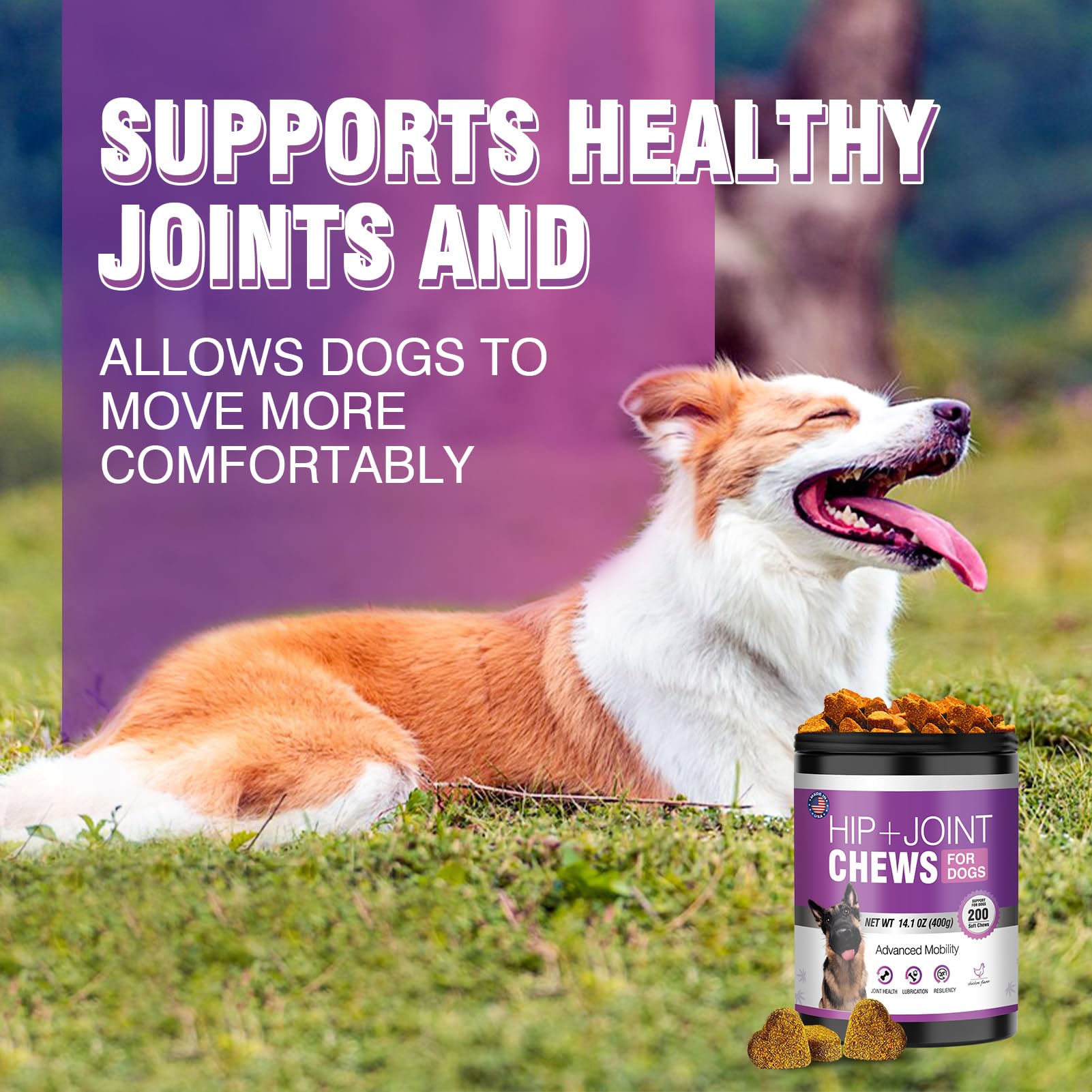 TTLXRL hip joint chews for dogs during walks promote smooth movement.