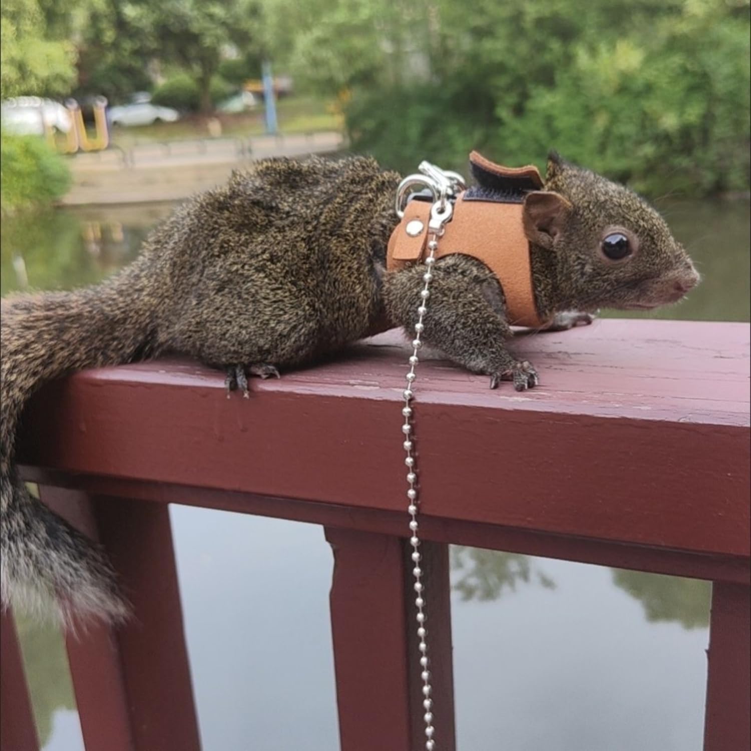 TTMIMIK harness easy-on steps illustrated for quick, stress-free fittings.