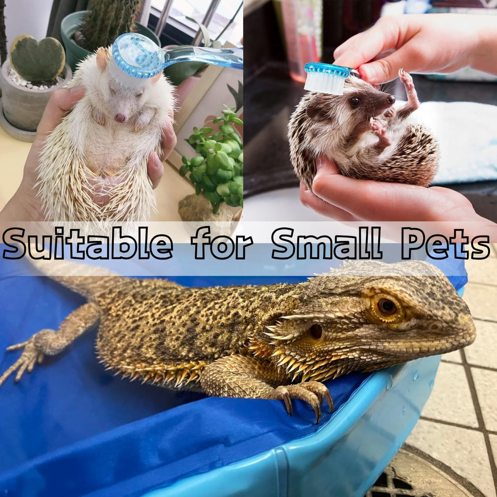 TTMIMIK small pet bath setup suitable for bearded dragons and hedgehogs