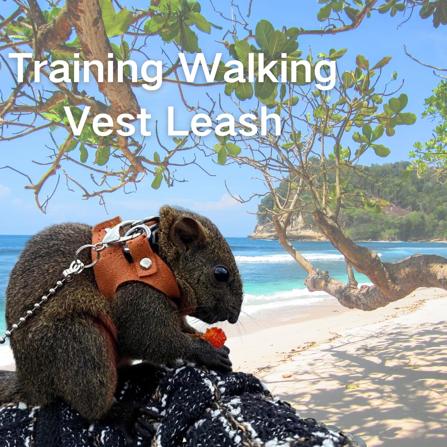 TTMIMIK small pet walk setup image showing easy-on harness system for quick outings.