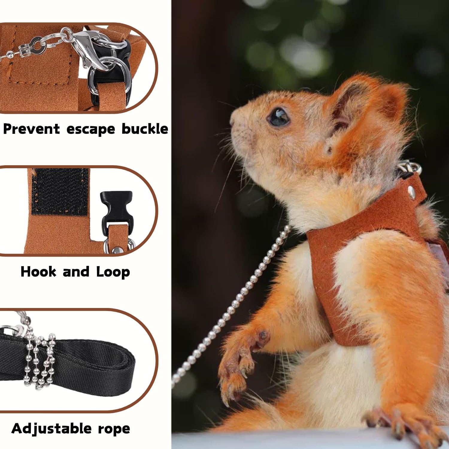 TTMIMIK squirrel harness sizes display in small, medium, and large for growing pets.