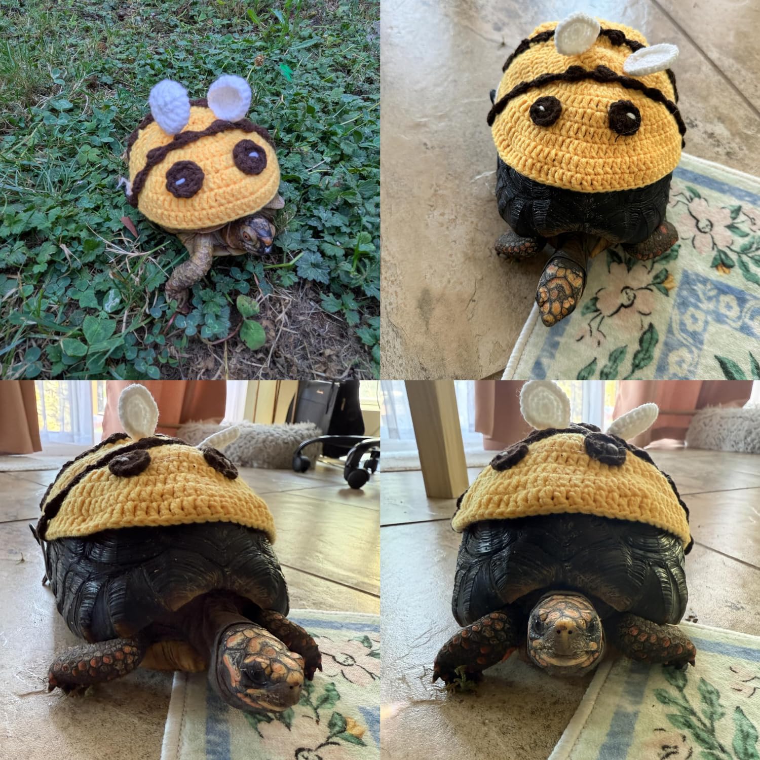 TTMIMIK turtle-sweater-party-cosplay captures cute winter cosplay moments