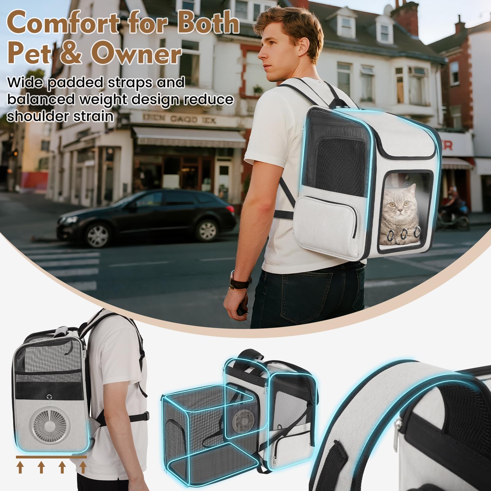 TTPet foldable design saves storage space between adventures.