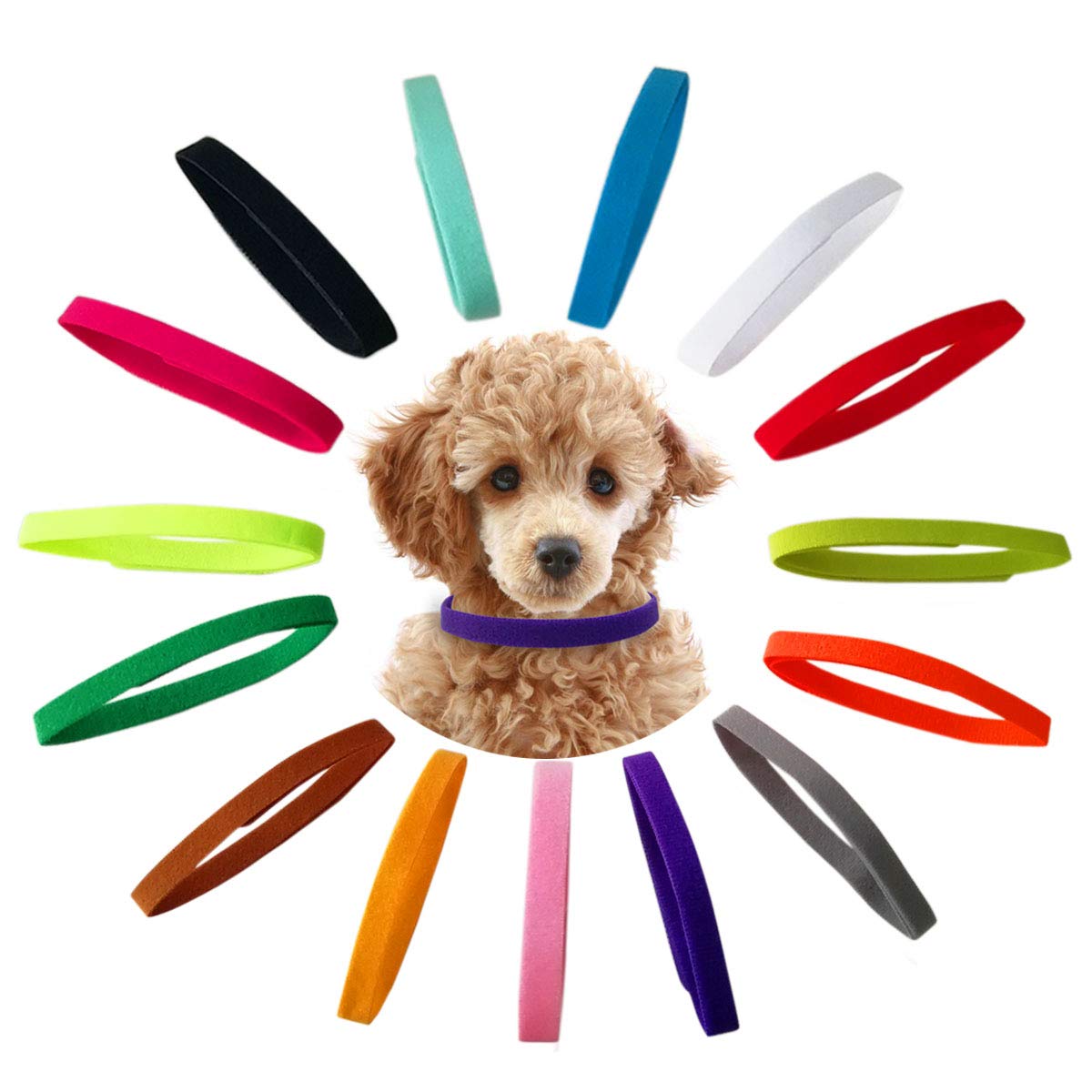TTSAM Puppy Id Collars color palette for quick color-coding.