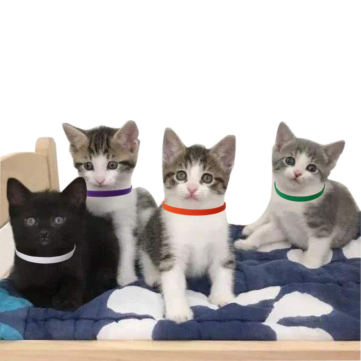 TTSAM Puppy Id Collars double velvet offers soft all-day comfort.