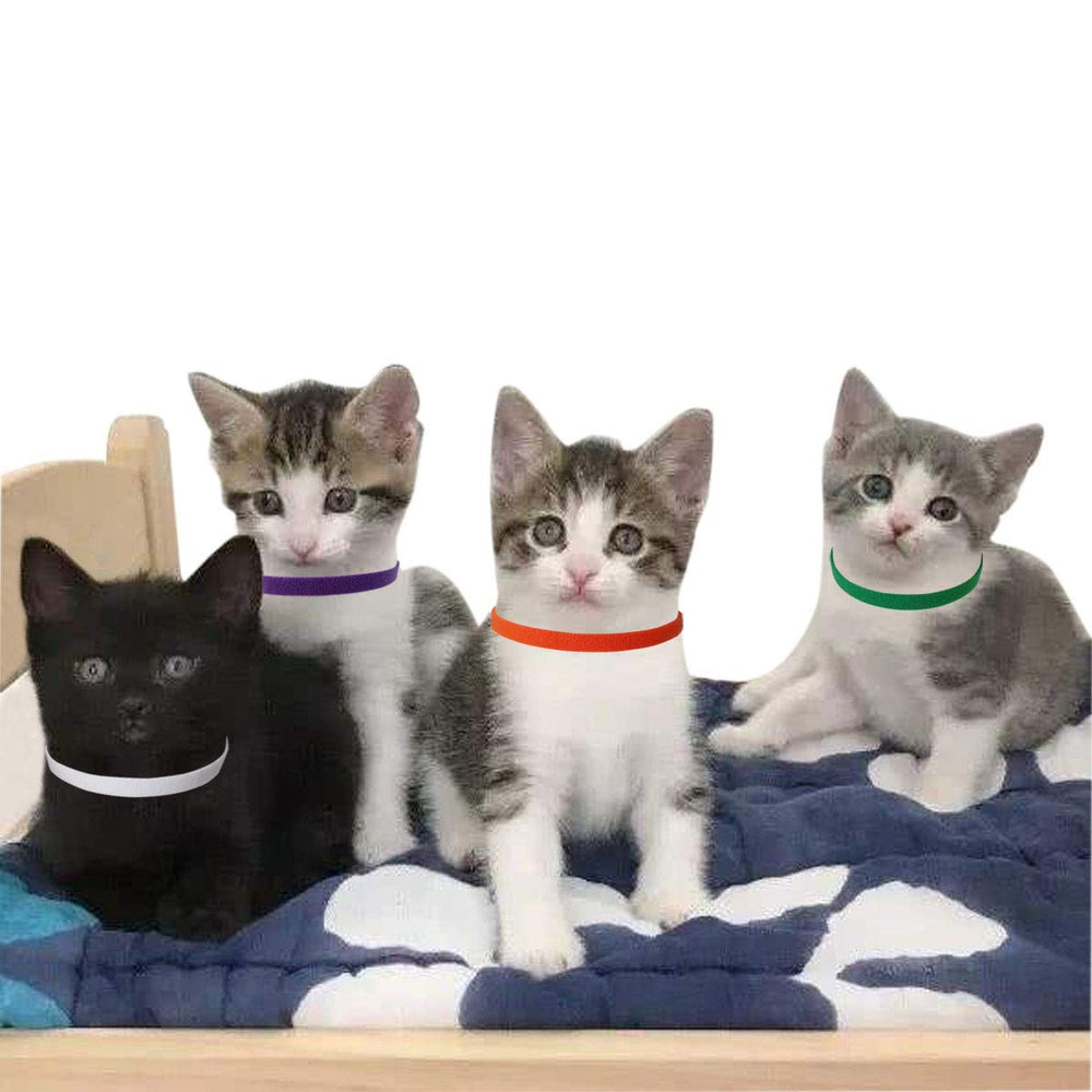 TTSAM Puppy Id Collars double velvet offers soft all-day comfort.