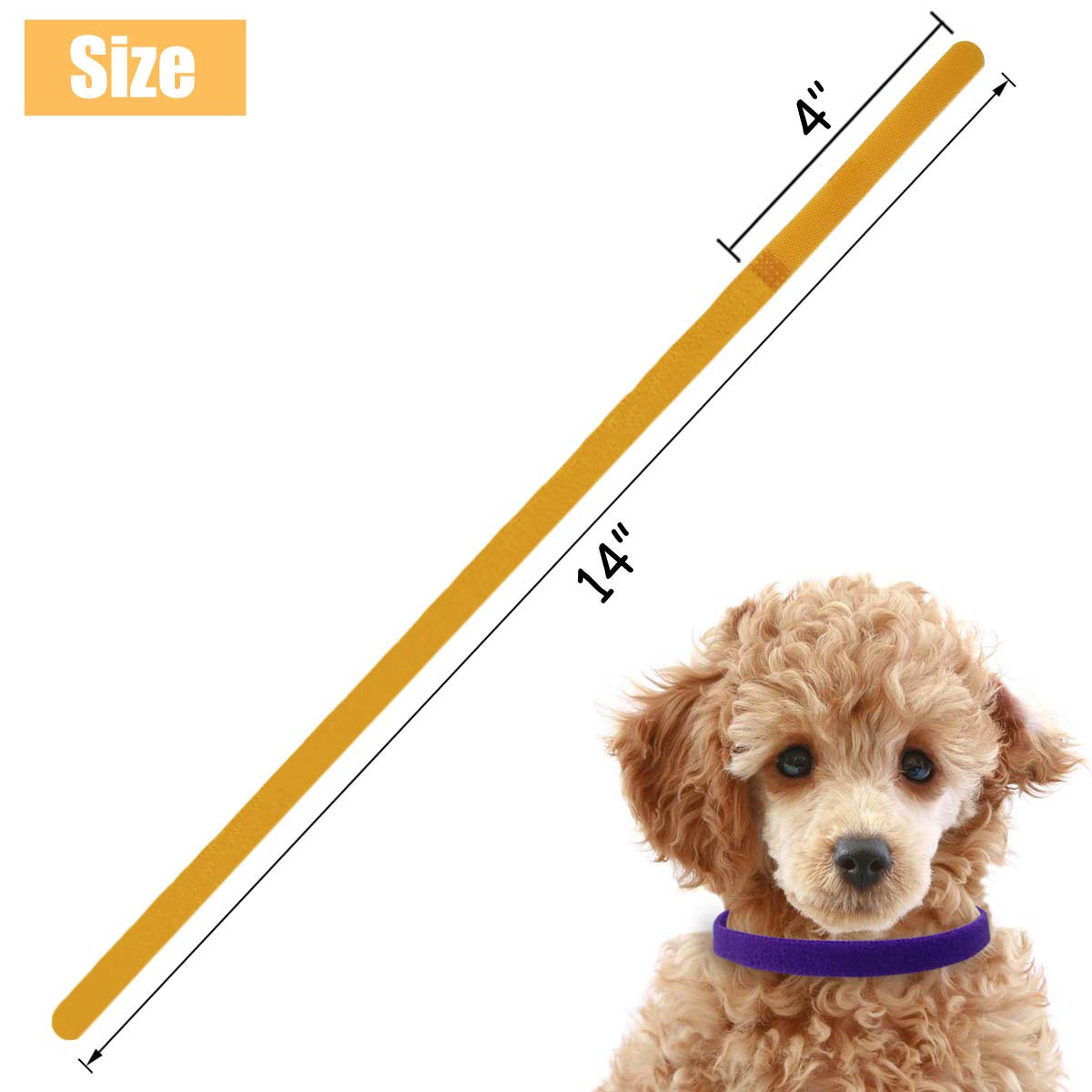 TTSAM Puppy Id Collars reusable design provides long-term value.