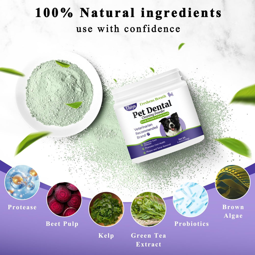 TTsiya closeup of dog teeth cleaning powder highlights tartar reduction potential