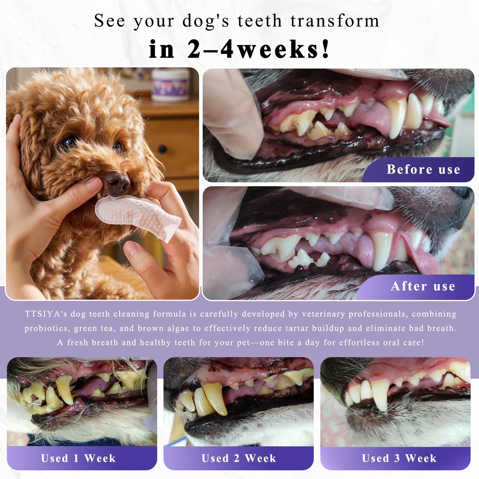 TTsiya dog teeth-cleaning powder scoop dispensing demonstrates easy dosing for pet owners