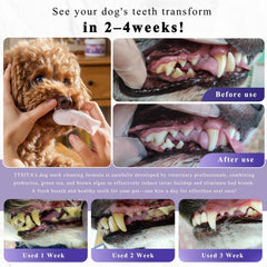 TTsiya dog teeth-cleaning powder scoop dispensing demonstrates easy dosing for pet owners