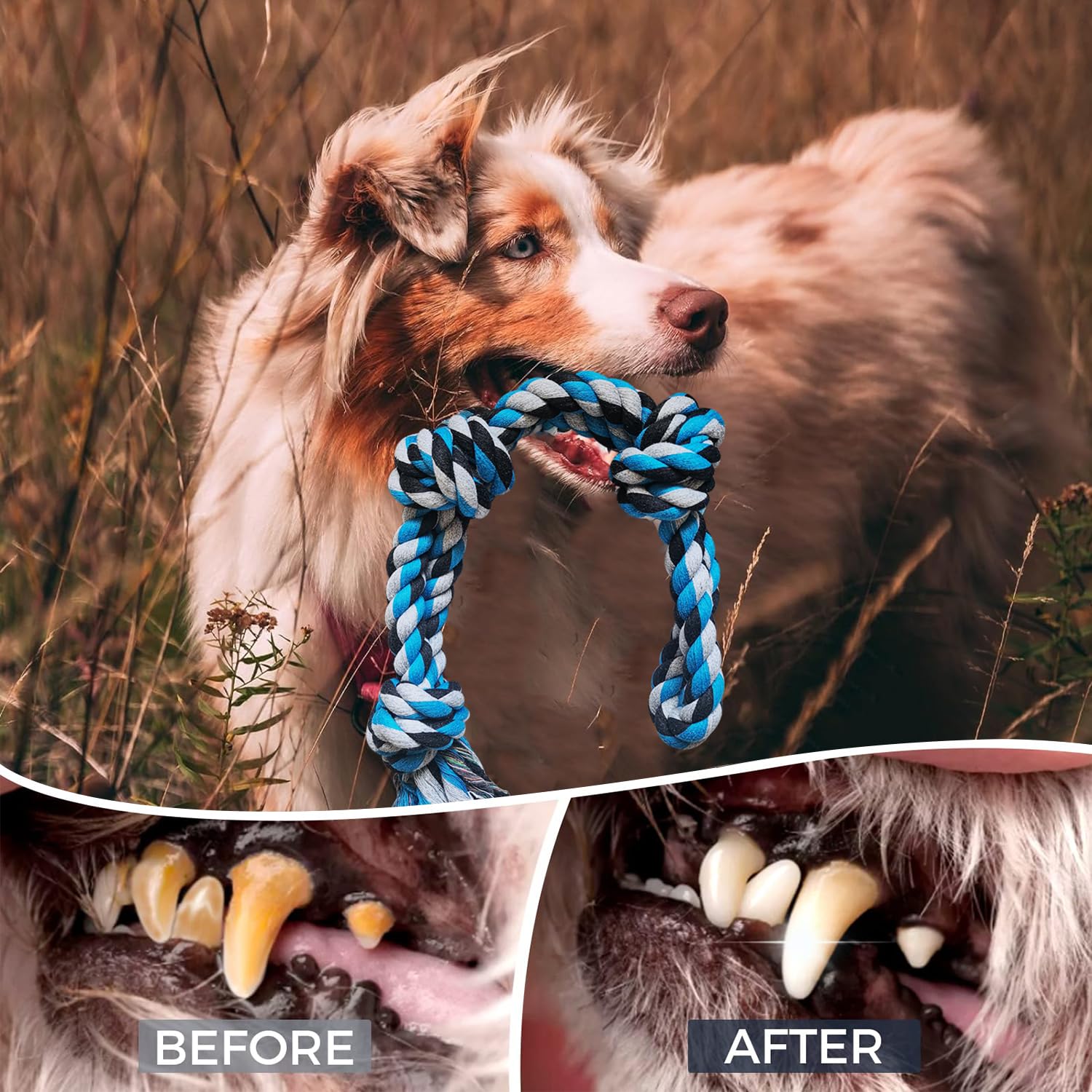 TUAHOO pack-dog rope toy side-by-side emphasizes value and shared play