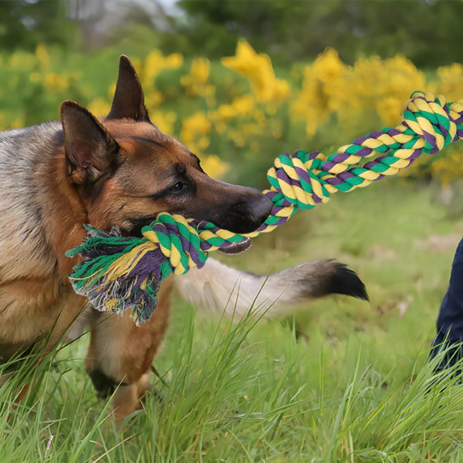 TUAHOO sturdy-knots dog rope toy closeup ready for tugging