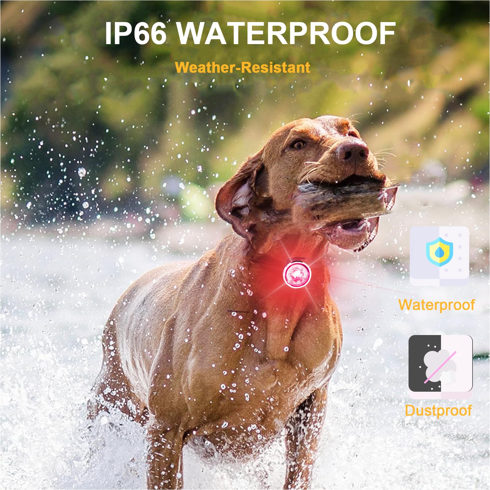 Tubasion waterproof IPX6 dog lights withstand rain during outdoor adventures