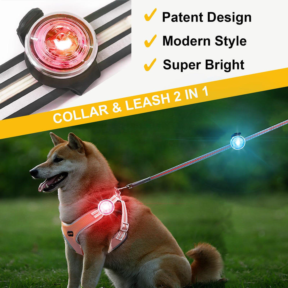 Tubasion dog lights on upgraded silicone band deliver secure collar fit.