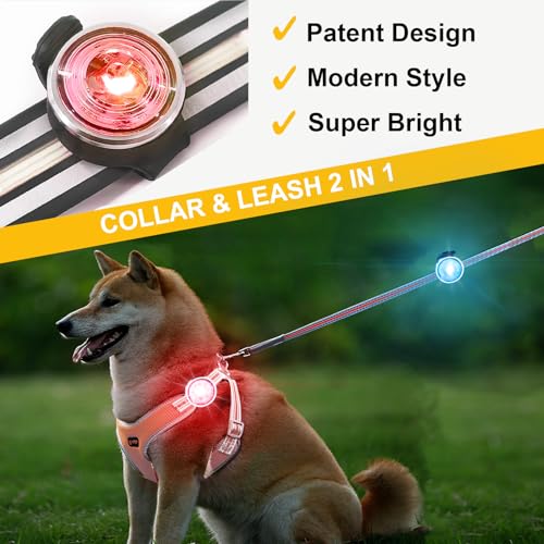 Tubasion dog lights on collar demonstrate visibility during evening strolls