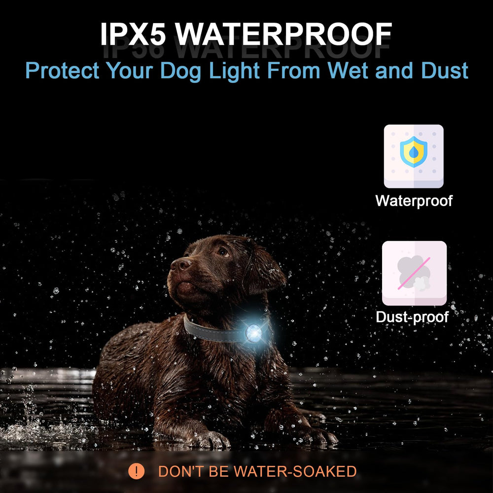 Tubasion waterproof dog light withstands rain and muddy trails.