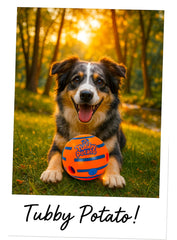 Tubby Potato Tater Tumbler engages dogs of all sizes in active play.